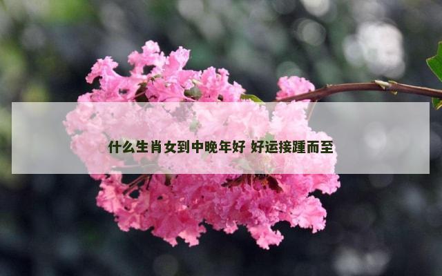 什么生肖女到中晚年好 好运接踵而至