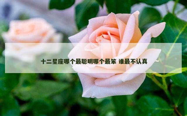 十二星座哪个最聪明哪个最笨 谁最不认真