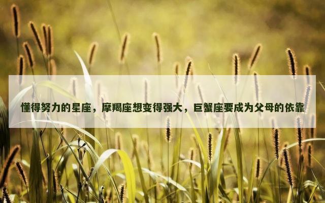 懂得努力的星座，摩羯座想变得强大，巨蟹座要成为父母的依靠