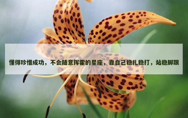 懂得珍惜成功，不会随意挥霍的星座，靠自己稳扎稳打，站稳脚跟