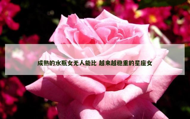 成熟的水瓶女无人能比 越来越稳重的星座女