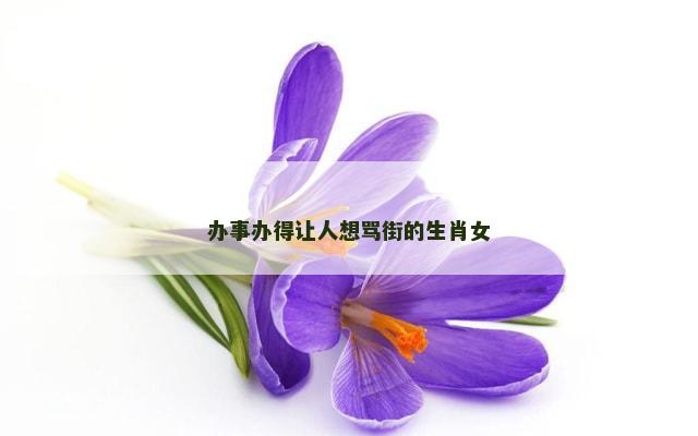 办事办得让人想骂街的生肖女
