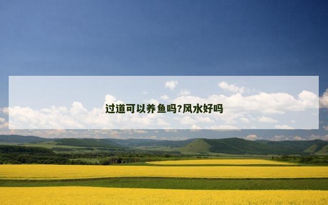 过道可以养鱼吗?风水好吗