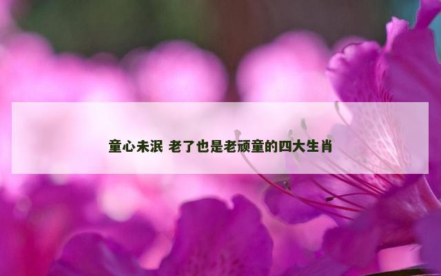 童心未泯 老了也是老顽童的四大生肖