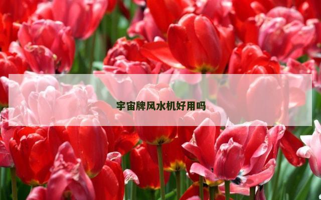 宇宙牌风水机好用吗