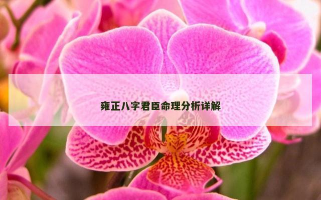 雍正八字君臣命理分析详解