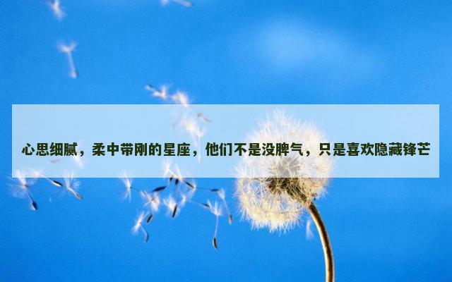 心思细腻，柔中带刚的星座，他们不是没脾气，只是喜欢隐藏锋芒