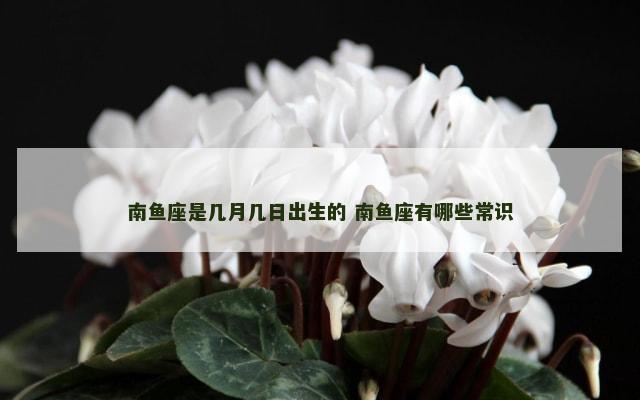 南鱼座是几月几日出生的 南鱼座有哪些常识