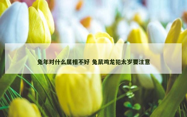 兔年对什么属相不好 兔鼠鸡龙犯太岁要注意