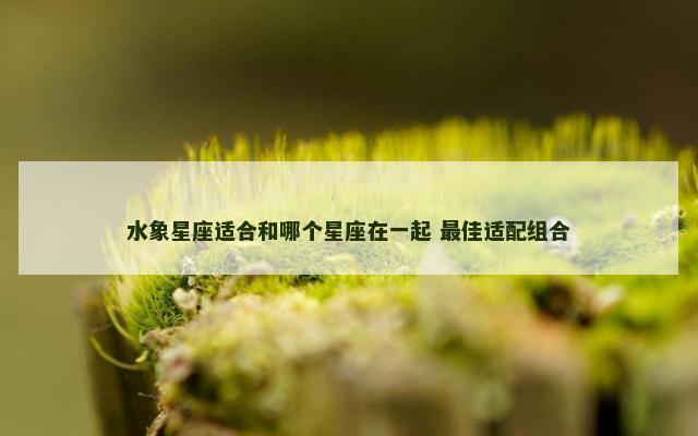 水象星座适合和哪个星座在一起 最佳适配组合