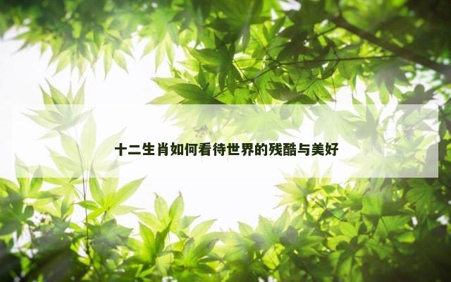 十二生肖如何看待世界的残酷与美好