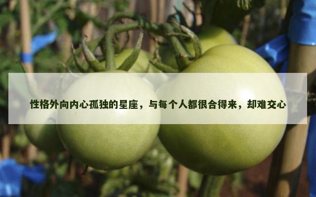 性格外向内心孤独的星座，与每个人都很合得来，却难交心