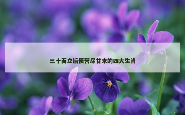 三十而立后便苦尽甘来的四大生肖