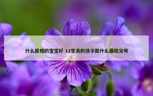 什么属相的宝宝好 12生肖的孩子属什么最旺父母