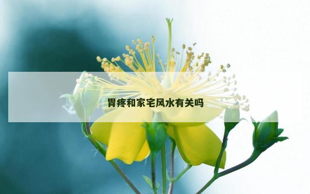 胃疼和家宅风水有关吗