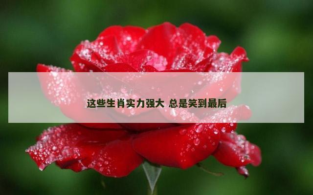 这些生肖实力强大 总是笑到最后