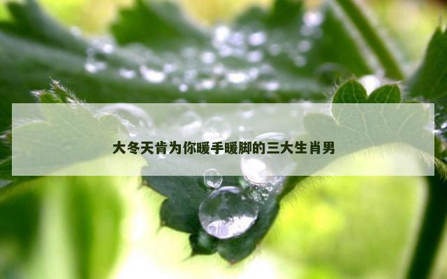 大冬天肯为你暖手暖脚的三大生肖男