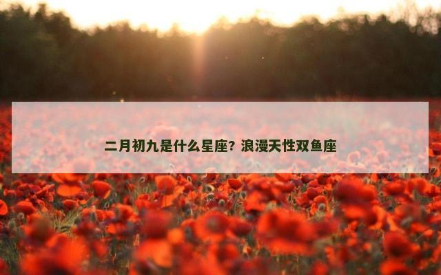 二月初九是什么星座? 浪漫天性双鱼座