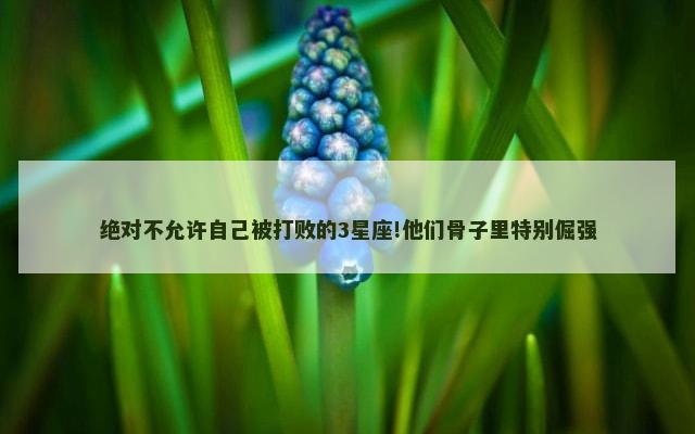 绝对不允许自己被打败的3星座!他们骨子里特别倔强