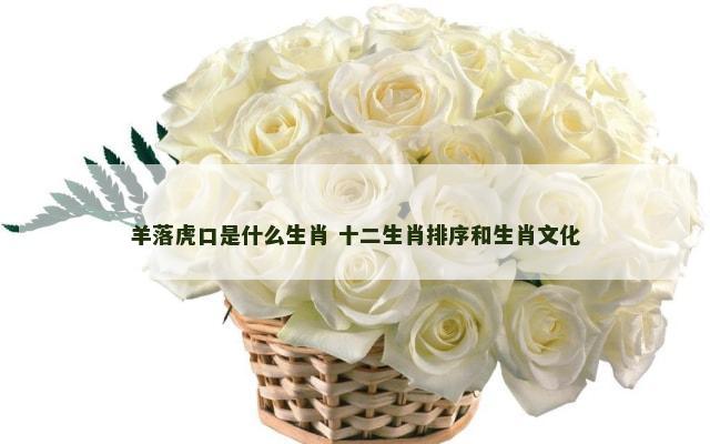 羊落虎口是什么生肖 十二生肖排序和生肖文化