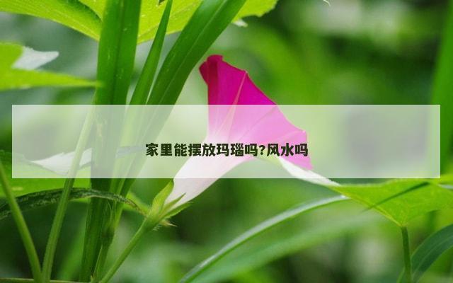 家里能摆放玛瑙吗?风水吗