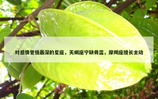 对感情觉悟最深的星座，天蝎座宁缺毋滥，摩羯座擅长主动