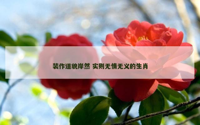 装作道貌岸然 实则无情无义的生肖