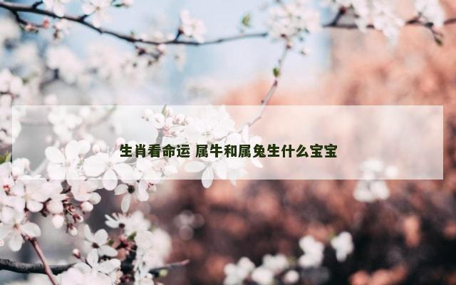 生肖看命运 属牛和属兔生什么宝宝
