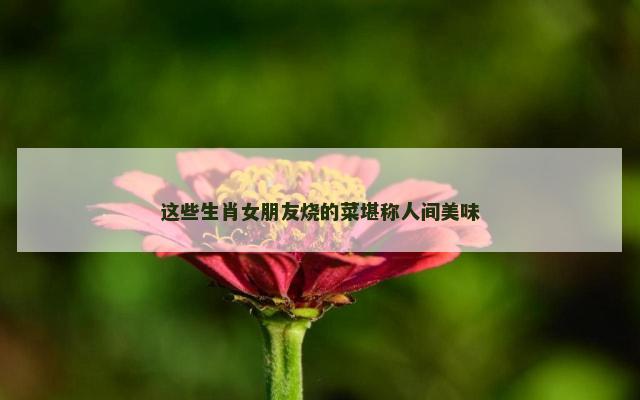 这些生肖女朋友烧的菜堪称人间美味