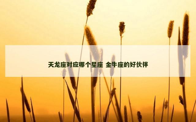 天龙座对应哪个星座 金牛座的好伙伴