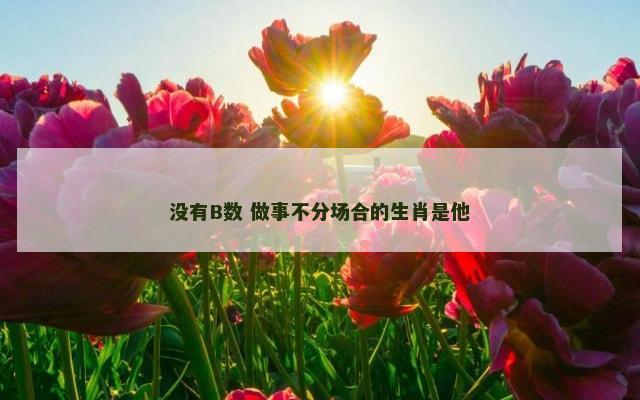 没有B数 做事不分场合的生肖是他