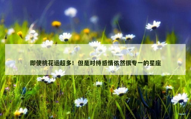 即使桃花运超多！但是对待感情依然很专一的星座