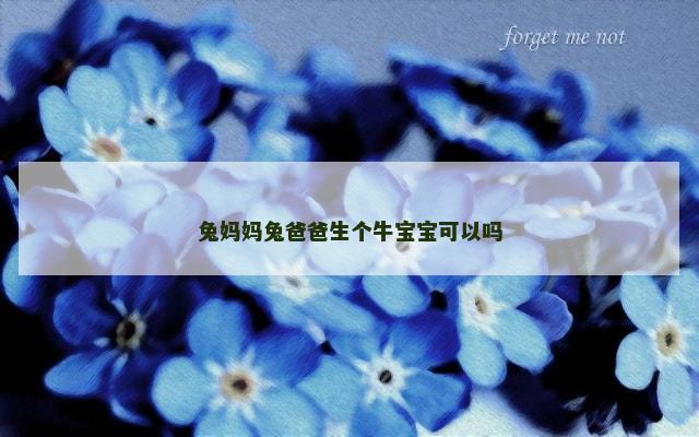 兔妈妈兔爸爸生个牛宝宝可以吗