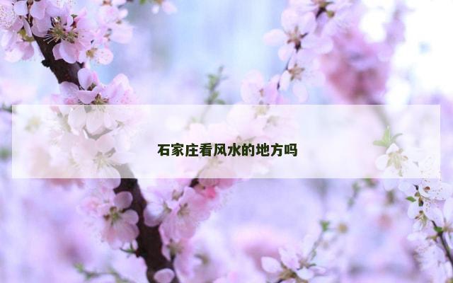 石家庄看风水的地方吗