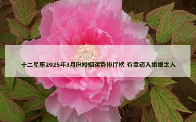 十二星座2025年3月份婚姻运势排行榜 有幸迈入婚姻之人