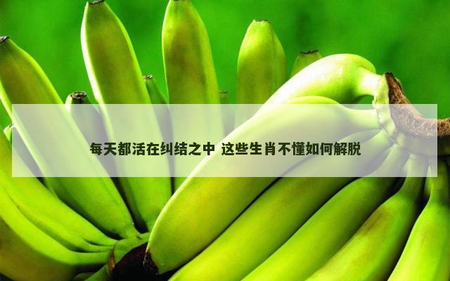 每天都活在纠结之中 这些生肖不懂如何解脱