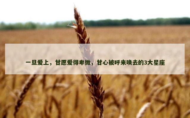 一旦爱上，甘愿爱得卑微，甘心被呼来唤去的3大星座