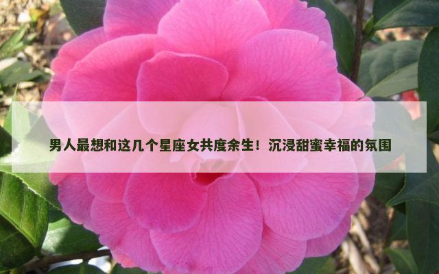男人最想和这几个星座女共度余生！沉浸甜蜜幸福的氛围