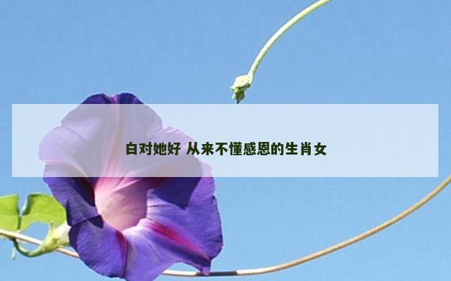 白对她好 从来不懂感恩的生肖女