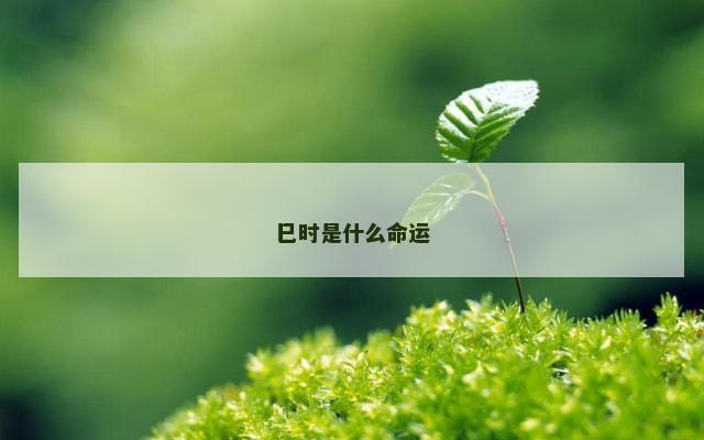 巳时是什么命运