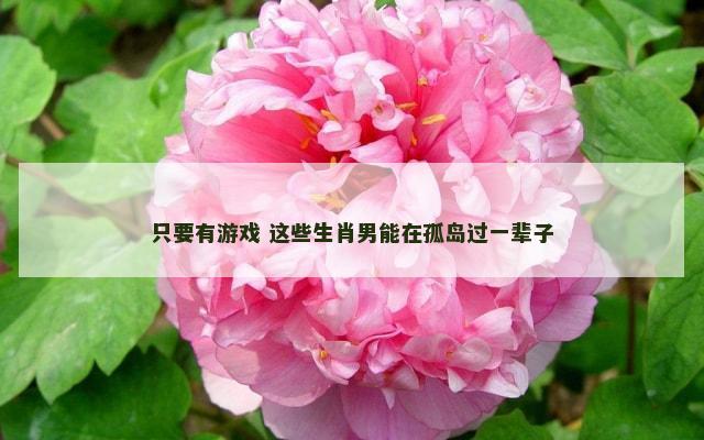 只要有游戏 这些生肖男能在孤岛过一辈子