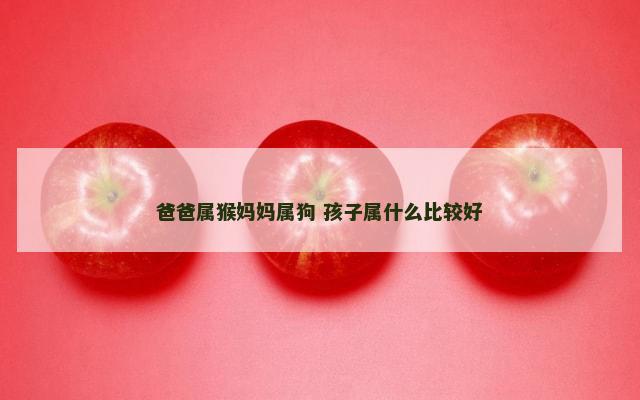爸爸属猴妈妈属狗 孩子属什么比较好