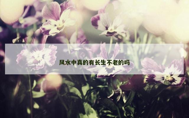 风水中真的有长生不老的吗