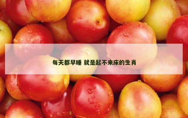 每天都早睡 就是起不来床的生肖