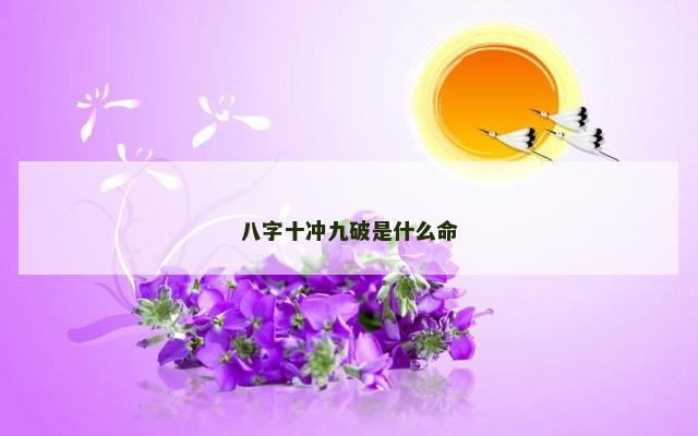 八字十冲九破是什么命