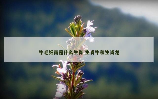 牛毛细雨是什么生肖 生肖牛和生肖龙