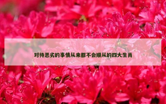 对待恶劣的事情从来都不会顺从的四大生肖