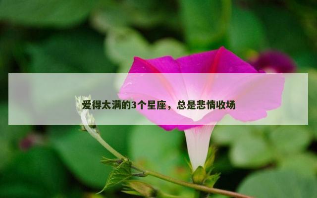 爱得太满的3个星座，总是悲情收场