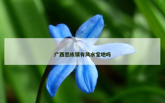 广西思练镇有风水宝地吗