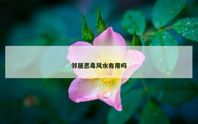 邻居恶毒风水有用吗